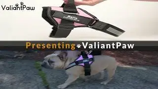 ValiantPaw VPaw Dog Harness Commercial Ad