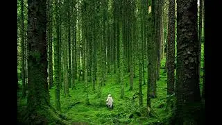 De-Stress Mode | Soft Piano Music for Relaxation & Calm | Cozy Background Audio
