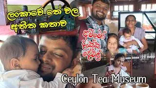 නොමිලේ තේ එකක් බොන ගමන් ලංකාවේ තේ වල අතීත කතාව - Kandy Ceylon Tea Museam I 1st Tea Packet In lanka