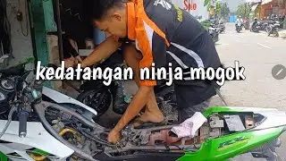 Ninja RR new Mogok Mati Total