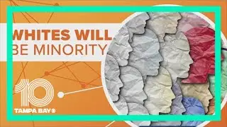 Could white people become a minority in the U.S.?