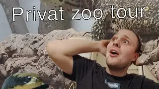 Privat zoo tour 2025