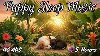 Puppy Will Fall Asleep in Minutes! ❤️💤 5 Hours of Calming Dog Music 🐾 [NO ADS]
