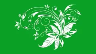 Flourish Flower on Green Screen Full Set Adobe Aft