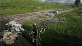 Red Dead Redemption 2_20260110195940