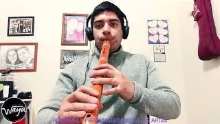 CLASES DE VIENTOS ANDINOS  100% ONLINE (QUENACHO, QUENA Y SIKUS)