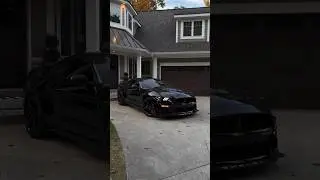 Black Shelby | Mustang Shelby Gt500