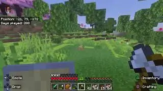 Minecraft building