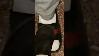 Stepping on Gucci slides