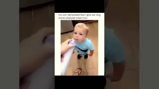 The Most Hilariously Cute Dog#funnydogs#cute#doglover#FunnyCuteDog#AdorablePuppy#FunnyCuteDog