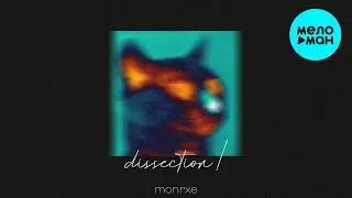 monrxe - Dissection (Single 2022) @MELOMAN-MUSIC