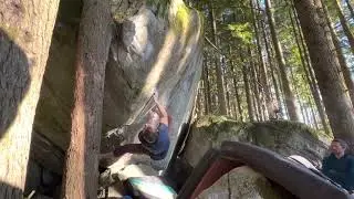 The Doja V7 | Gold Bar Bouldering