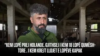&ldquo;Kem lop&euml; prej Holande. Gjithsej i kem 18 lop&euml; qum&euml;shtore . I kem krejt llojet e lop&euml;ve kapak