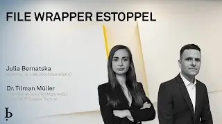 IP Insights: File wrapper estoppel (2023)