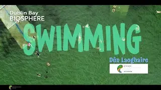 SEA SWIMMING IN DUBLIN BAY