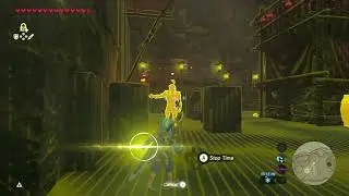 Yiga stasis reset
