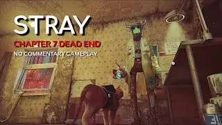 STRAY|CHAPTER 7 DEAD END|NO COMMENTARY GAMEPLAY|2K60FPS