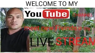 My Twenty Nine Live Stream, Promote you Channel here