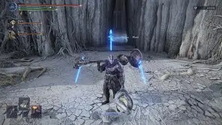 ELDEN RING NIGHTREIGN Deep of Night Rank 5 Fissure in the fog Mealted