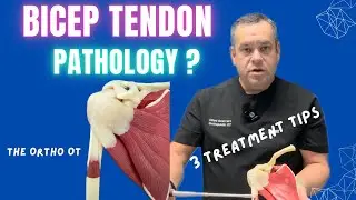 ✅ Long Head Bicep Tendon Inflammation Tips