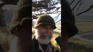 Imagine Yellowstone: Junction Butte Wolf Pack Rally