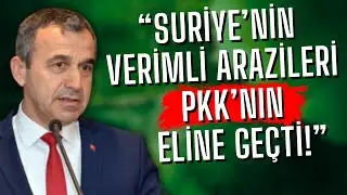 Dr. Naim Babüroğlu: 