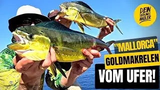 Traumhaftes Uferangeln auf Mahi Mahi + Der verr&uuml;ckteste FISCH unseres Lebens!!!