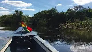 Боливия.Боливийские пампасы в парке Мадиди удивляют на каждом шагу.Июнь2018