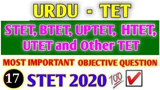 BTET and Other TET Urdu Objective Question || BTET important Urdu Question