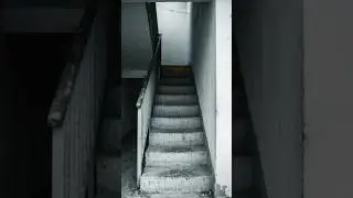 The House of Staircases to Nowhere 🏚️ | Winchester Mystery House  #weirdhistory #winchesterhouse