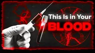 Blood Tests Reveal THIS In 97% of Americans | Heavy Metal Results