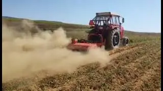 imt 560 i maschio girafa malčiranje