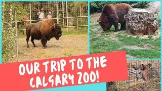 Our first trip to the Calgary Zoo!