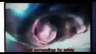 Death Grips - хорошее радио, радио шансон (ft. MC Ride & Mr. Grip)