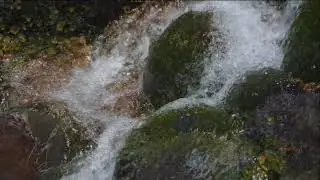 Cantarina (Voz de las Monta&ntilde;as) - from debut album AURORA - by Minuk