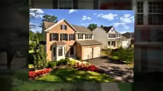 Tampa Remax Real Estate