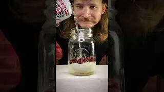 I left Scorpion Peppers in beer for a week