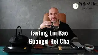 Tasting Liu Bao Hei Cha (harvest of 2021)