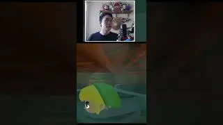 The water gods were kind to Link this day | junjunkit on #Twitch #windwaker #shorts