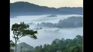Sugushaka kugurisha  Nyungwe / Irabikwiye ko ishyirwa mu mirage y'isi/Abantu bitege inyungu zirenze