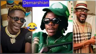 Def Jam Record Label Deceived Stonebwoy with Grammy Award