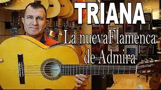 Распаковка: TRIANA новая гитара фламенко от Admira