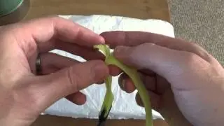 Velcro Strap Hack