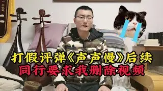 说真话被要求删视频 《声声慢》“打假”引风波