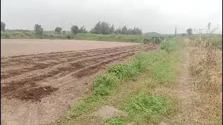 801-23 Gobar khad kese dale | Large Scale Banana Farming | केला खेती |5x10| AI1 | O2 Park 9425738222