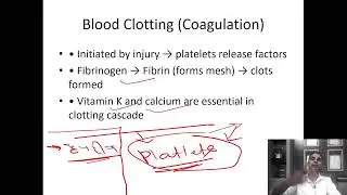 BPSC TRE 4 - Daily Live Class 9 PM - Biology