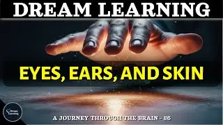 Dream Learning | From Neuron to Brain | Eyes, Ears, and Skin | Part. #6 #sleepstory