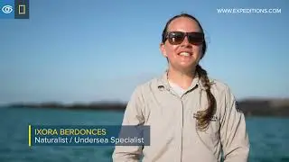 Full video - NG Endeavour II February 19 26 2022