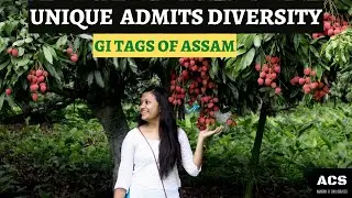 GI TAGS OF ASSAM | APSC | UPSC | ACS