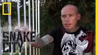The Vanishing Mamba | Snake City